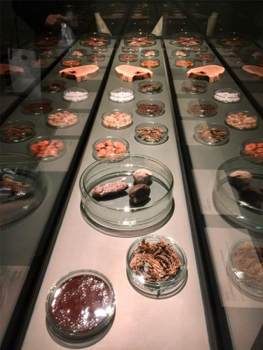 (Photo provided to chinadaily.com.cn)