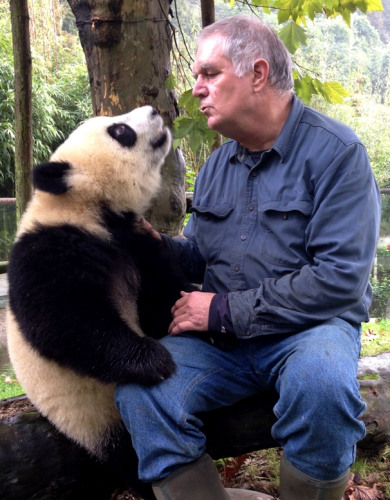 Ben Kilham, of Lyme, New Hampshire, who has released about 165 black bear cubs into the wild, is hoping his techniques will work with pandas. (Photo/China Daily)