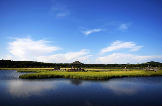 Photo taken on July 11, 2017 shows tourists visiting the Qixing Lake Scenic Area of the Saihanba State Forest Park in Weichang Man and Mongolian Autonomous County of Chengde City, north China's Hebei Province. (Xinhua/Wang Xiao)