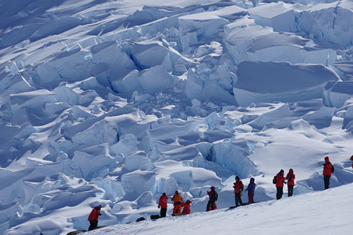 Chinese tourists reach the South Pole during a group trip. (Photo/China Daily)