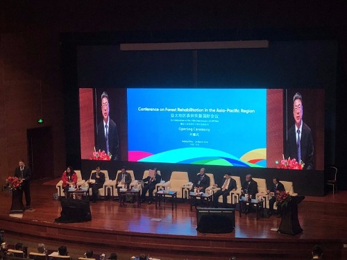 Conference on Forest Rehabilitation in the Asia-Pacific Region is held in Beijing on Monday. (Photo: China Daily/Yang Wanli)