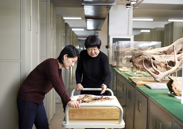 Professor Meemann Chang, Laureate for Asia-Pacific, recognized for her pioneering work on fossil records leading to insights on how aquatic vertebrates adapted to live on land. (Photo provided to China Daily)