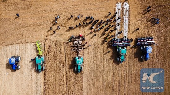 Aerial photo shows self-driving tractors in a cotton field. (Xinhua/Hu Huhu)