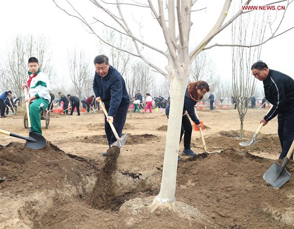 Chinese President Xi Jinping (2nd L, front), also general secretary of the Communist Party of China Central Committee and chairman of the Central Military Commission, joins a voluntary tree planting activity in the eastern suburbs of Beijing, capital of China, April 2, 2018. Other Chinese leaders including Li Keqiang, Li Zhanshu, Wang Yang, Wang Huning, Zhao Leji, Han Zheng and Wang Qishan also attended the event. (Xinhua/Xie Huanchi)