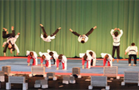 DPRK, ROK stage joint taekwondo performance