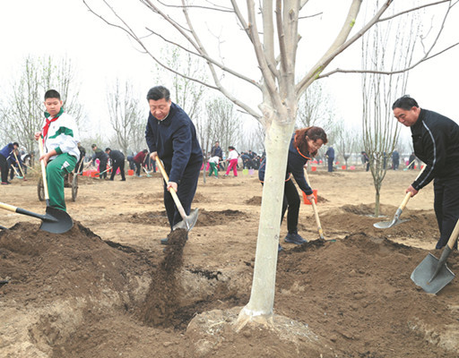 President Xi Jinping pitches in at a tree planting activity in Beijing's Tongzhou district on Monday. He said such efforts will greatly benefit future generations. (Photo/Xinhua)