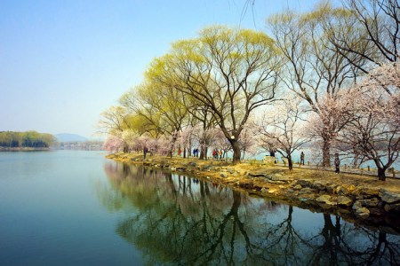 Beijing aims to become over 40 percent green