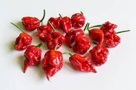 Eating world's hottest pepper lands man in hospital