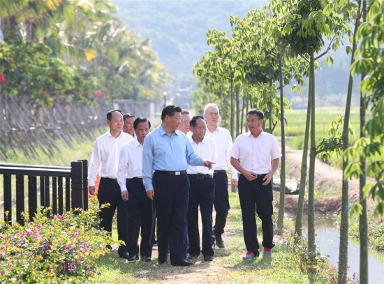Chinese President Xi Jinping (L front), also general secretary of the Communist Party of China Central Committee and chairman of the Central Military Commission, talks with Yuan Longping (3rd R) and other agricultural experts at Nanfan Scientific and Research Breeding Base in Sanya, south China's Hainan Province, April 12, 2018. Xi made an inspection tour in Sanya on Thursday. (Xinhua/Xie Huanchi)