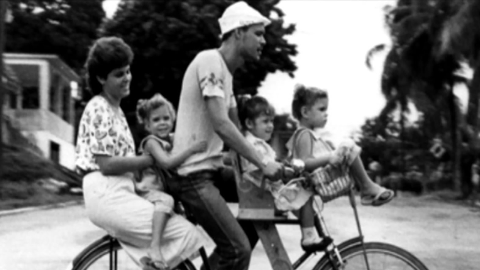 Cuba past and future: The Special Period 