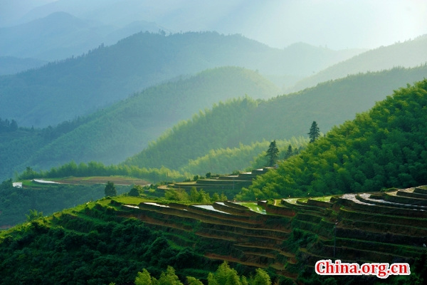 Photo shows the scenery of Shangbao Terrace at the Qiyunshan Mountain Natural Reserve in Chongyi, east China's Jiangxi Province. (Photo/China.org.cn)