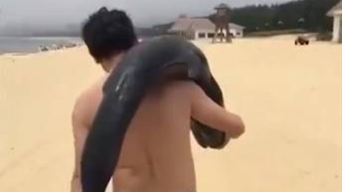 Tourist faces punishment after taking live dolphin from Hailing Island