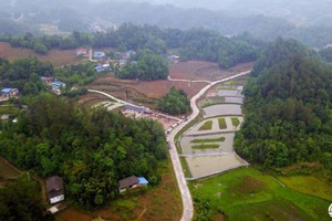 Wenchuan shows effects of ecological restoration after 10 years: report