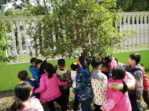 In Shanghai, anxiety remains as education choices narrow