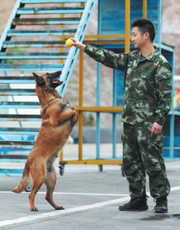 Jiang Yuhang trains a search dog in Kaili, Guizhou province. (Jiang Hongjing / Xinhua)