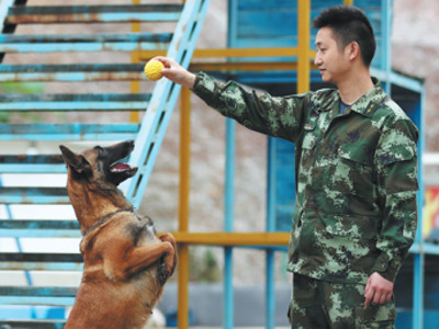 Rebirth in the face of death