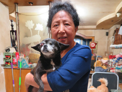 Chengdu woman nurses 4-legged quake survivors