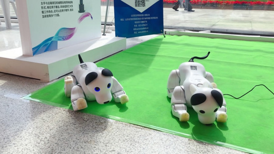 A pair of robotic dogs roll on the ground. Such robots are equipped with delicate sensors, which allow them to detect the movements of their owners, providing better emotional companionship. /People's Daily Photo