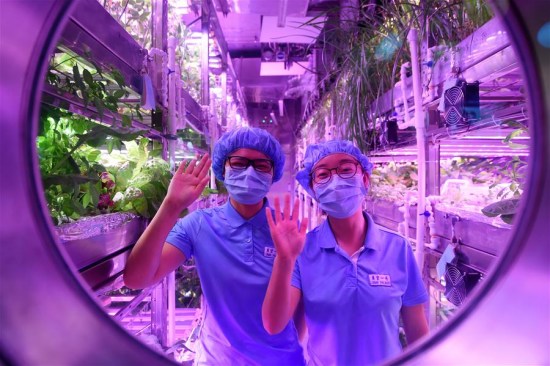 Two volunteers greet from inside the Lunar Palace 1, a facility for conducting bio-regenerative life-support systems experiments key to setting up a lunar base, in Beijing University for Aeronautics and Astronautics (BUAA) in Beijing, capital of China, May 10, 2017. (Xinhua/Ju Huanzong)