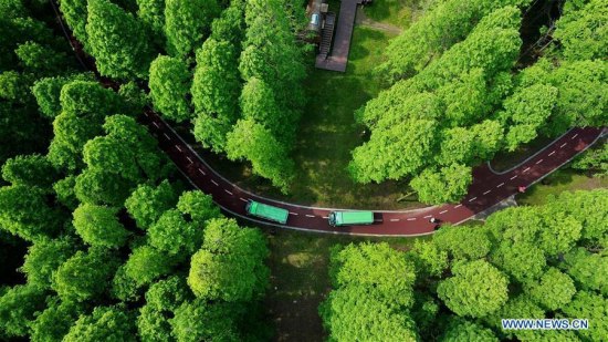 This aerial photo taken on May 13, 2018 shows a scenery of the Yellow Sea National Forest Park in Dongtai, east China's Jiangsu Province. (Xinhua/Xu Congjun)