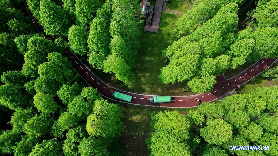 Central inspectors push for environmental improvement in China