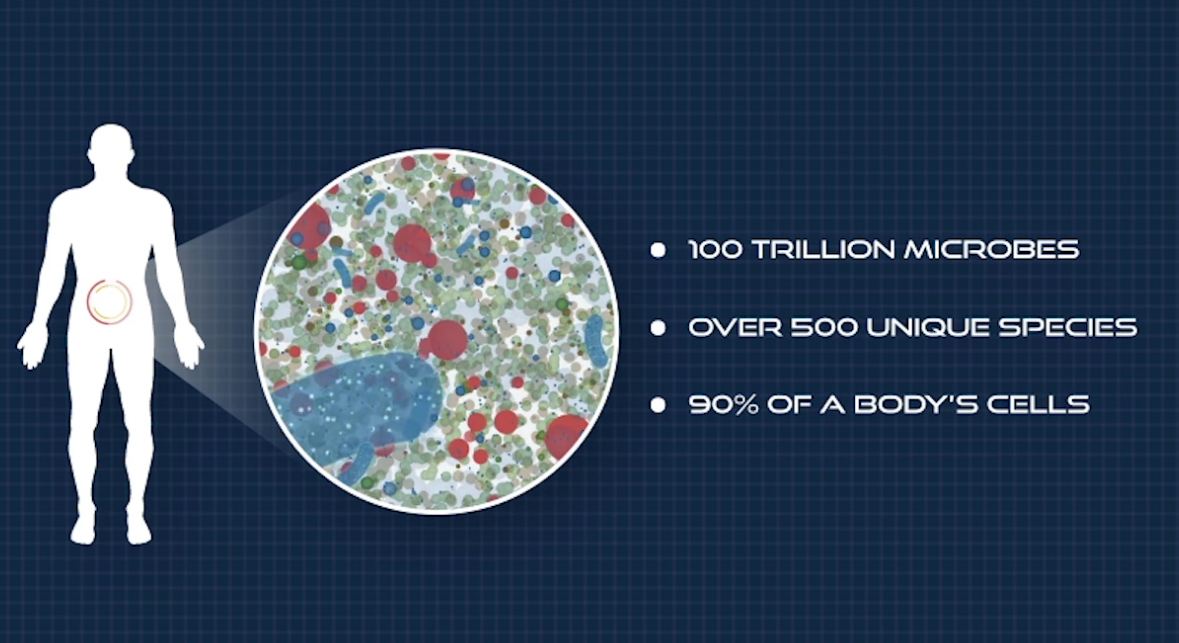 World's largest citizen microbiome project reveals human-germ relations