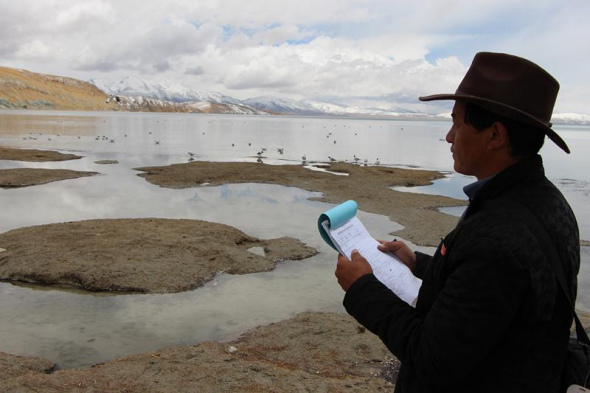 Pema Wanggyal notes down his observation during a patrol trip around the Lake Manasarova on May 10, 2018. (Photo by Ma Chi/chinadaily.com.cn)