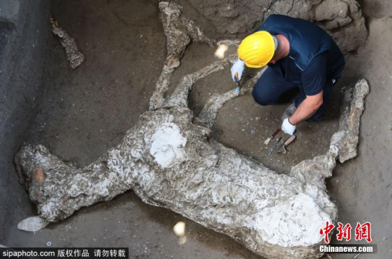 The plaster cast of a horse that died when Mount Vesuvius erupted in A.D. 79. (Photo/SipaPhoto)