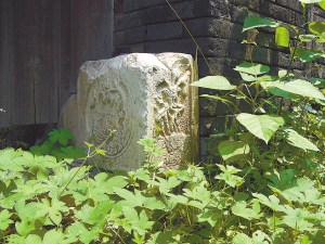 Dilapidated walls with weeds everywhere in the Maixi Village in Jiangsu Province