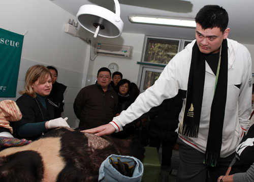 Retired basketball superstar Yao Ming pets a bear at the Longqiao Bear Rescue Center in Southwest China's Sichuan province on Saturday morning. The center rescued the bear from a factory that extracts bile from live captive bears to make traditional Chinese medicines. Provided to China Daily 