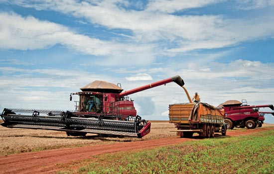 A soybean farm near Tangara da Serra, Brazil. China's large imports of Brazilian beans last fall will further dent its imports from the United States, a regional director at the American Soybean Association said on June 6, 2012. [Photo/Agencies]  