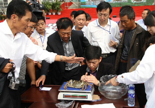 Government officials, technicians and farmers' representatives determining the weight of a hairy crab during the Liaohe River Cup national freshwater crab contest in Panjin. Sun Xiuling, a 50-year-old woman, won two national awards on Sept 21 - the gold m