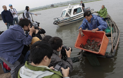 A fisherman showing reporters Yangchenghu hairy crabs that he has just caught in Yangcheng Lake, Jiangsu province. Every mid-autumn season, Yangchenghu crabs, the most popular delicacy of its kind in China, come under the media's spotlight. However, buyers' preferences for genuine Yangchenghu crabs are not being met with increasing quality and a better pricing system this year, and there is again news about falsely labeled crabs being sold. [Photo/China Daily] 