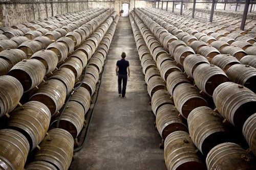 An employee walks between barrels of Remy Martin Fine Champagne Cognac, laid to age in a cellar at the Remy Cointreau SA headquarters in Cognac, France. However, Champagne - a unique sparkling wine associated with luxury and power over the centuries - has yet to receive widespread recognition and acceptance by the Chinese. [Photo / China Daily] 
