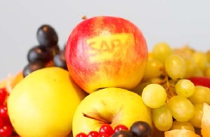 A SAP AG company logo on an apple displayed at a buffet during a news conference in Walldorf, Germany, on Jan 23. SAP, the biggest maker of business-management software, forecast at least a 12 percent gain in full-year earnings as it adds Internet-based programs to attract users and fend off competition from Oracle Corp. [Photo/China Daily] 