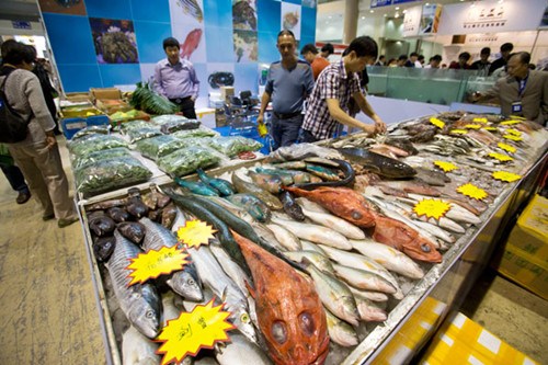 Seafood products displayed at a food and catering fair in Beijing. The crackdown on graft and extravagance is taking its toll on the country's high-end seafood market. PROVIDED TO CHINA Daily