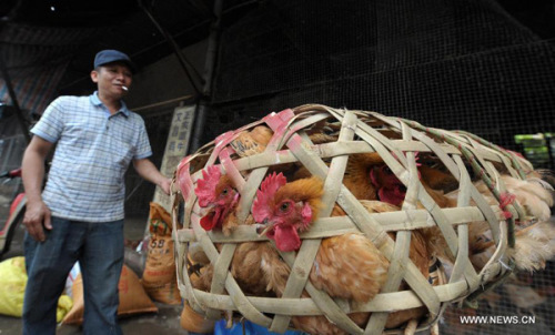 A vender works at a poultry market in Haikou, capital of south China's Hainan Province, April 26, 2013.  (Xinhua File Photo)