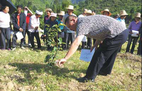 A farmer in southern China teaches farmers the company's new planting techniques. Provided to China Daily