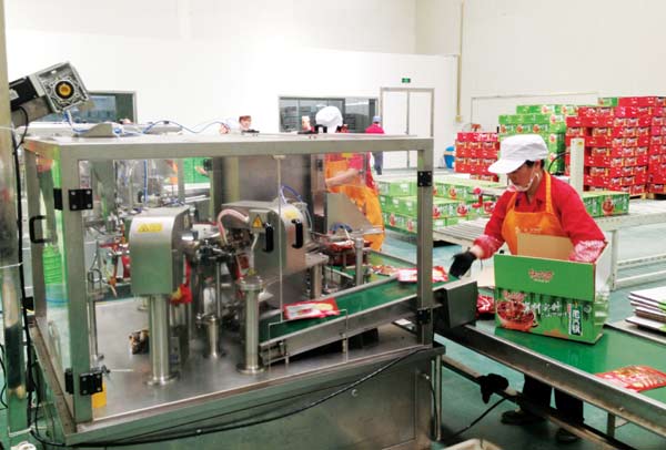 Employees pack halal food at Hongshanhe Muslim Food Co Ltd in Yinchuan. Zhong Nan/China Daily