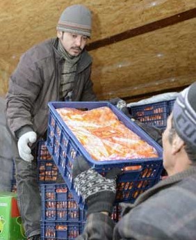 Workers load oranges to be exported to Kazakhstan in Khorgos, the Xinjiang Uygur autonomous region. Zhao Ge / Xinhua 