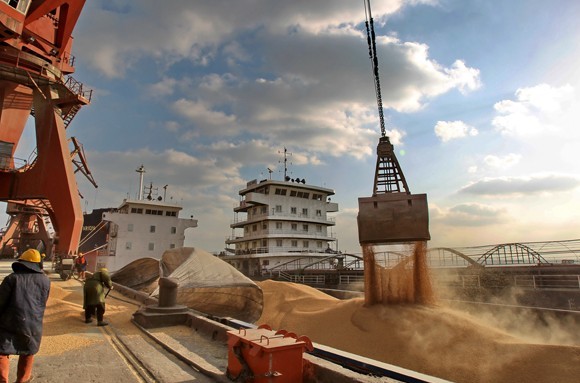 Imported soybeans are offloaded from a ship at a port in Nantong, Jiangsu province. Last year, soybean imports rose 11.2 percent year-on-year to 58.4 million metric tons, and imports are set to rise further in the 2013-14 market year. Xu Congjun / For China Daily  