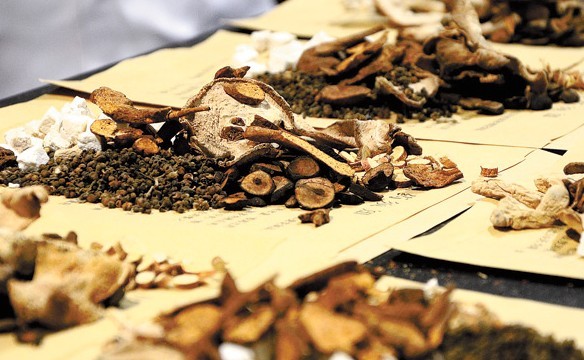 Herbal medicines are one of the most basic TCM therapies but their healing power remains unacknowledged in the West.[Provided to china daily]  