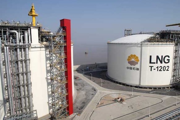 [File photo / Provided to China Daily]