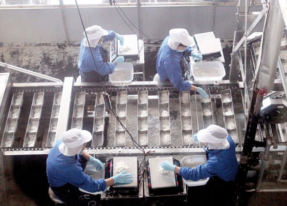 Workers weigh rice in a rice processing plant in Changde. Photos by Wang Jing / China Daily
