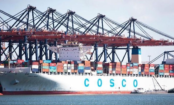 The freighter Pride berths at port of Rotterdam, the Netherlands, April 20, 2013. China COSCO Holdings Co Ltd, the country's largest shipper, announced on Tuesday that it saw a profit turnaround in 2013 after suffering heavy losses in two consecutive years. [Photo/Xinhua]   
