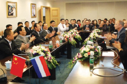   A celebration is held by Chengdu Diao Pharmaceutical Group Co for production lines of its Diao Xin Xue Kang capsules getting a Good Manufacturing Practice certificate from European Union. Provided to China Daily  