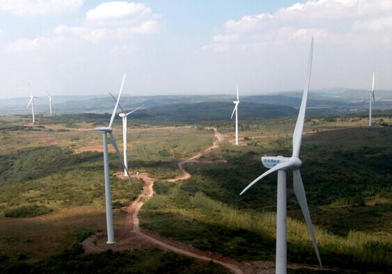 A wind power farm in Xuyi, Jiangsu province. China's investment in renewable energy in 2013 was $56.3 billion, accounting for 61 percent of total investment by developing countries. [Photo/China Daily]  