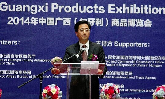 Zhang Xiaoqin, Vice Governor of the Guangxi Zhuang Autonomous Region addresses the opening of 2014 China Guangxi Products Exhibition in Budapest, capital of Hungary, June 11, 2014.(Xinhua/Yang Yongqian) 