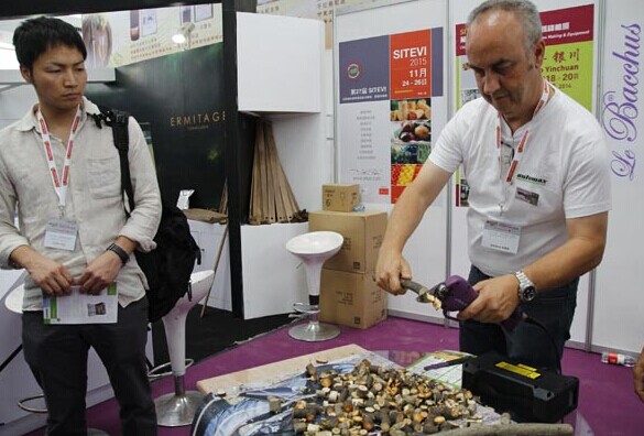 An employee of a French equipment maker demonstrates how to cut grape stems with a special tool at the Sitevinitech 2014 International Trade Show for Wine Production & Fruit/Vegetable Farming, which opened on Wednesday in Yinchuan, capital of the Ningxia Hui autonomous region. Wang Huazhong / China Daily