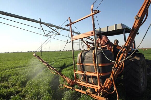 Chinese farms in Zambia are relatively smaller than those run by other farmers, but the number and the scale are growing. Zhang Wei / China Daily  